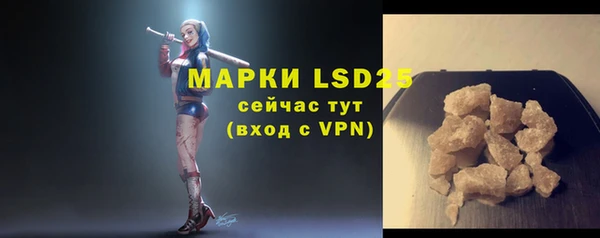 крисы Корсаков