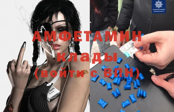 крисы Корсаков