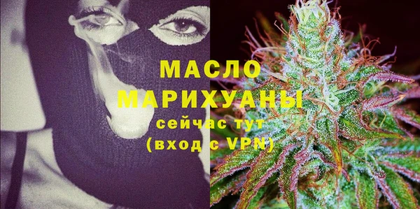 крисы Корсаков
