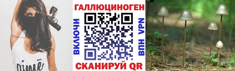 Псилоцибиновые грибы Magic Shrooms Минусинск